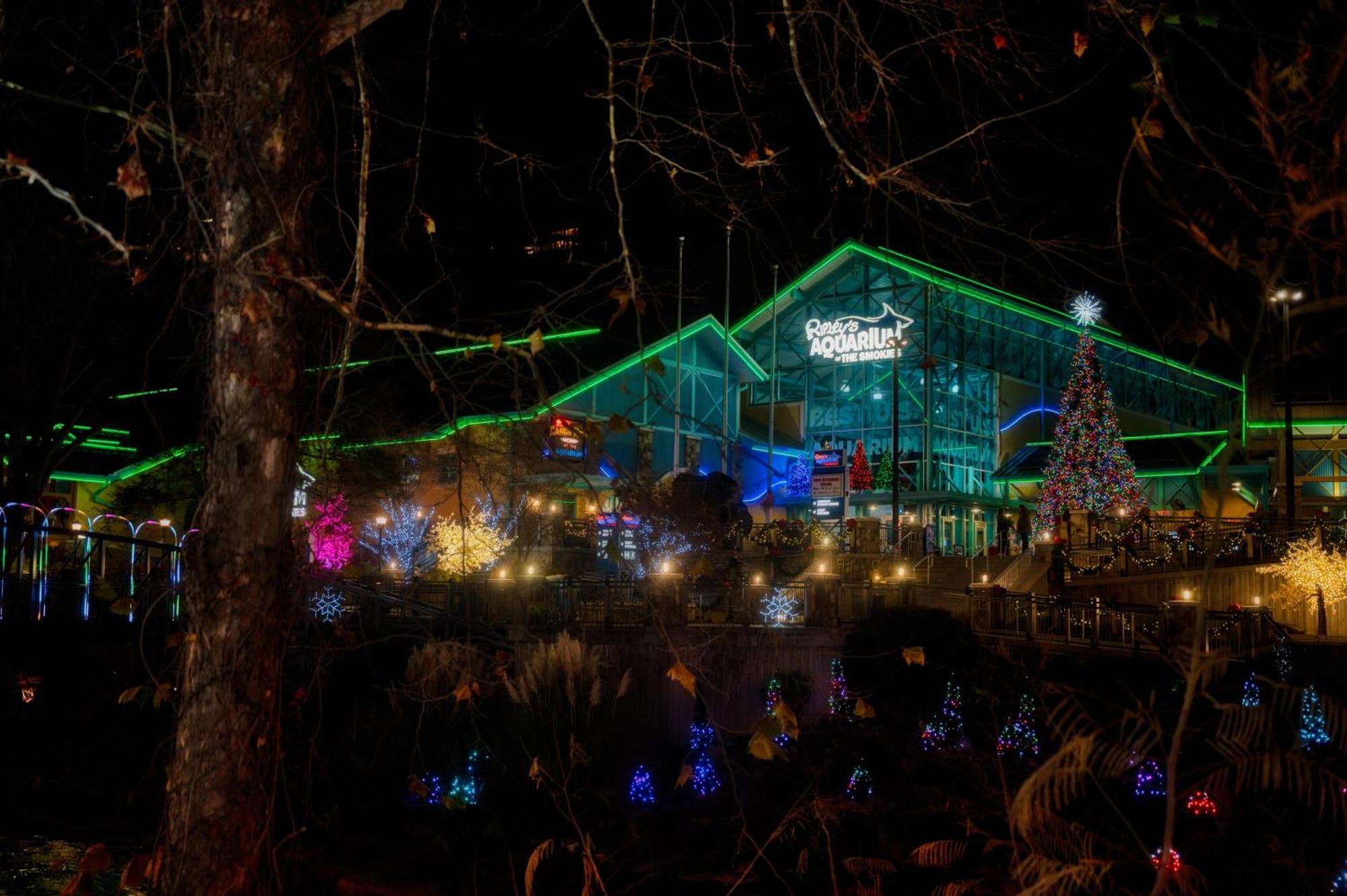 Gatlinburg Chateau Condo 503 ภายนอก รูปภาพ